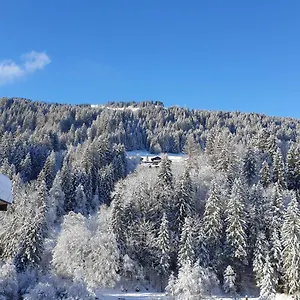 https://appartement-les-3-cols-morzine-2-pices-2-personnes.hotels-rhonealpes.com